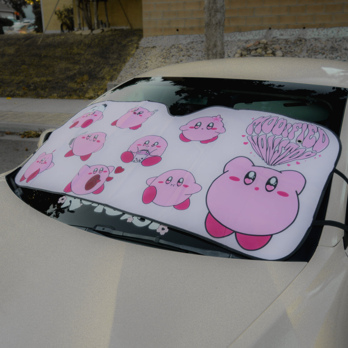 PRE-ORDER Kirby Windshield Cover