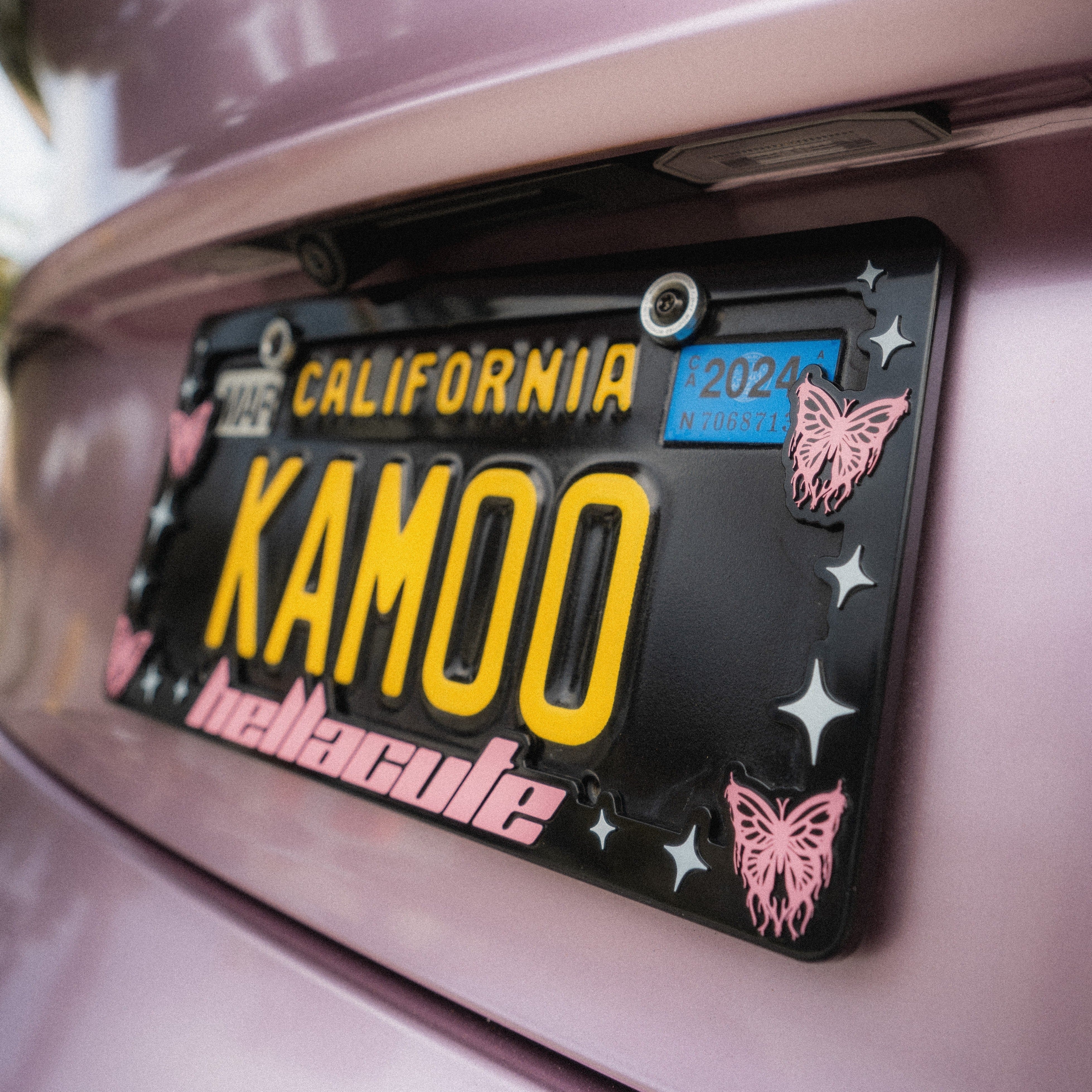 Butterfly License Plate Frame