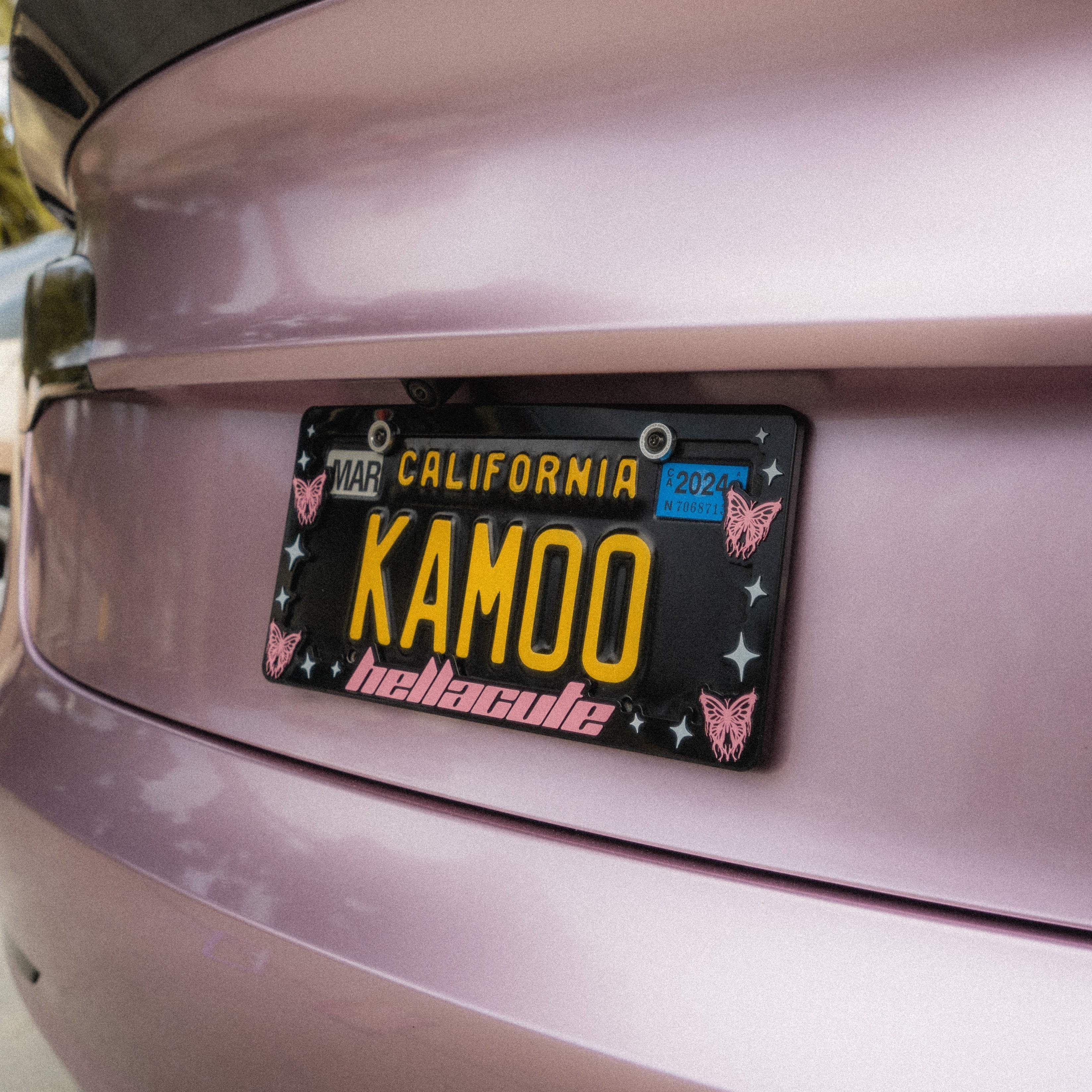 Butterfly License Plate Frame