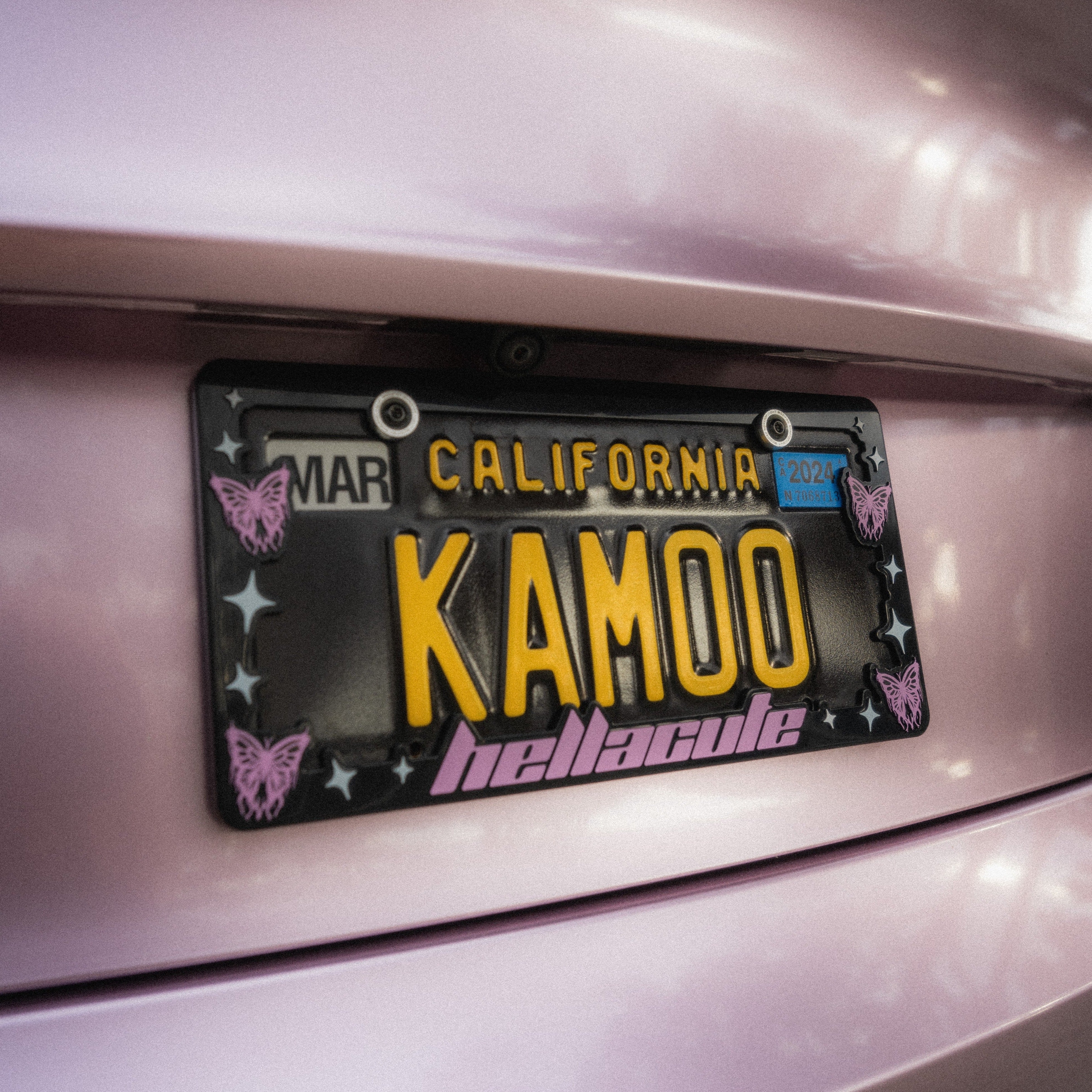 Butterfly License Plate Frame
