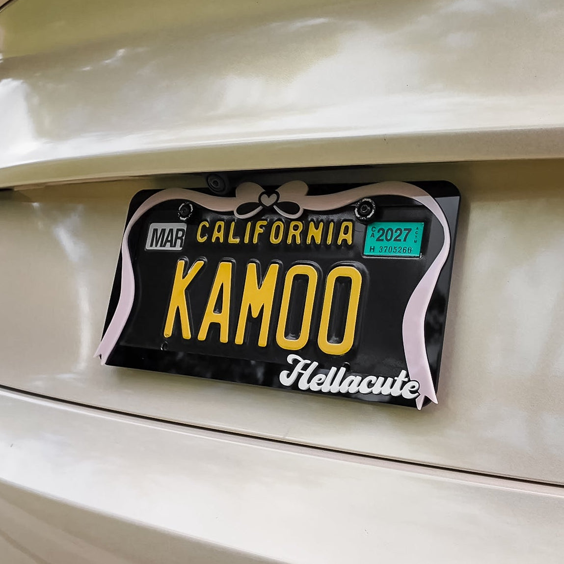 Big Bow Acrylic License Plate Frame
