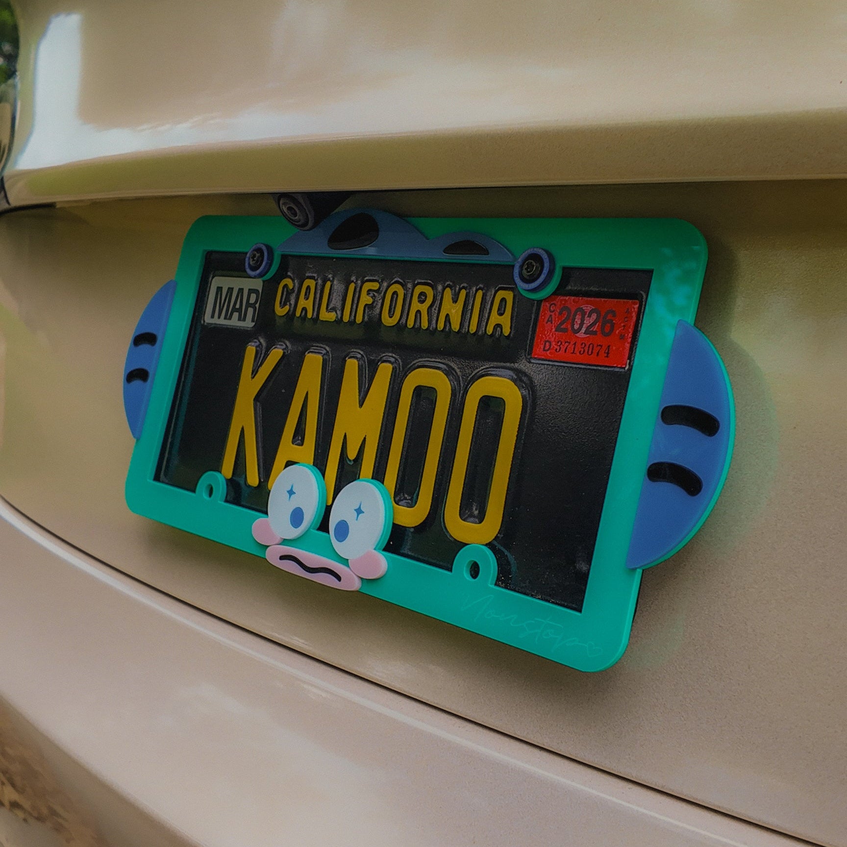 Fish Boi Acrylic License Plate Frame