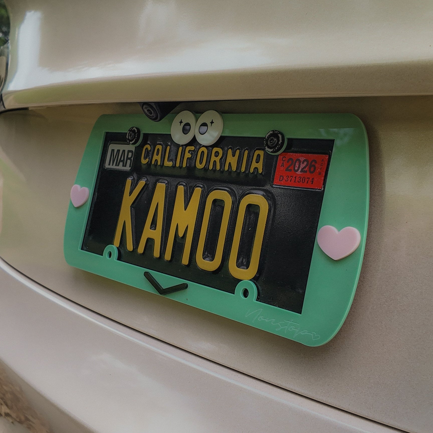 Cutie Froggy Acrylic License Plate Frame